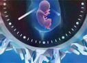 孕7月语言胎教重在简单与重复