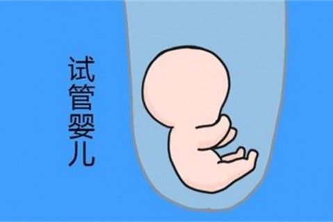 http://zhujimi.net/post/193.html|供卵助孕