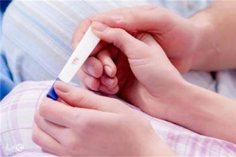 http://zhujimi.net/post/200.html|新闻中心