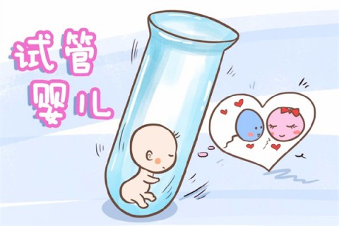 爱尔兰的代孕政策和法律规定