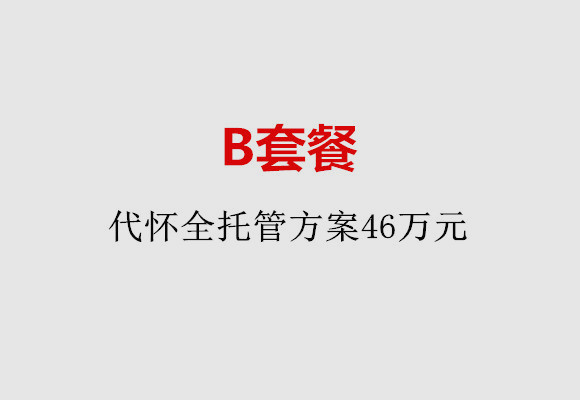 B套餐：代怀全托管方案46万元